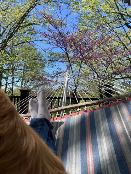 Auggie back in lower left, my feet and a striped hommock with hammock strings and a bloooming redbud tree other trees and a blue sky in background