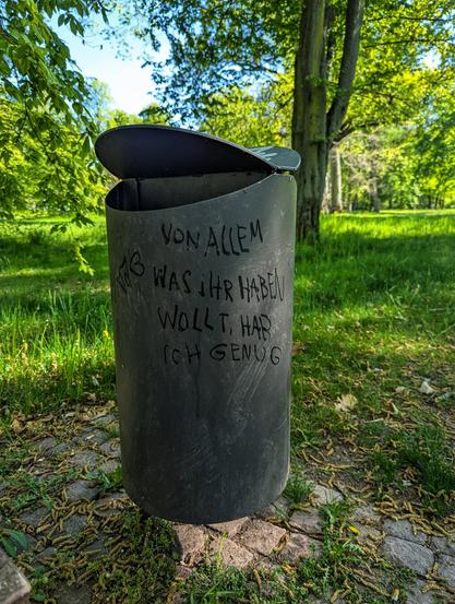 The image shows a black metal bin in a park setting. The bin has an open lid, revealing a dark interior. Written on the side of the bin in what appears to be graffiti are the words "VON ALLEM WAS IHR HABEN WOLLT, HAB ICH GENUG". The bin is situated on a paved area, with grass and a scattering of small, brown, caterpillar-like objects around its base. In the background, there's a lush green park landscape with trees and dappled sunlight.