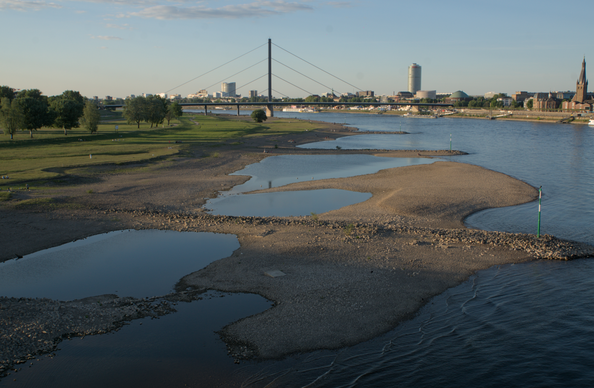 Blick von der Rheinkniebrücke nach Norden auf das westliche Ufer des Rheins. Dort, wo eigentlich Wasser sein sollte, ragen Sandbänke aus dem Flussbett. Dort picknicken Menschen. 
Im Hintergrund sind Oberkassler Brücke, das ERGO-Hochhaus und Teile des Altstadtpanoramas zu sehen.