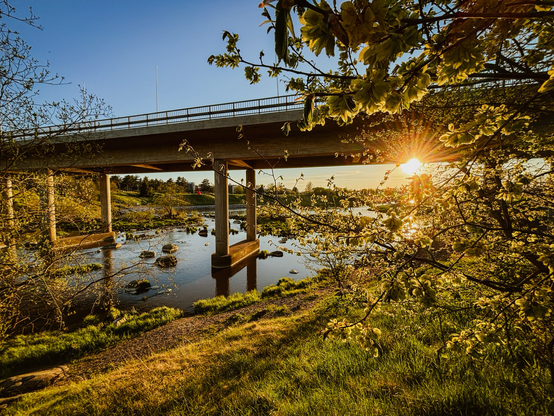 Brücke aus der Nähe
