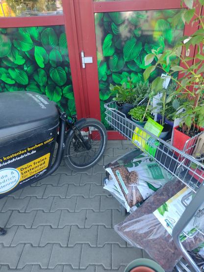 An electric cargo bike with two wheels and a black plastic box in the front next to a shopping cart full of sacks of earth and plants