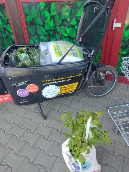The same cargo bike filled to the brim with plants and other supplies. One tall plant is next to it in a cotton bag