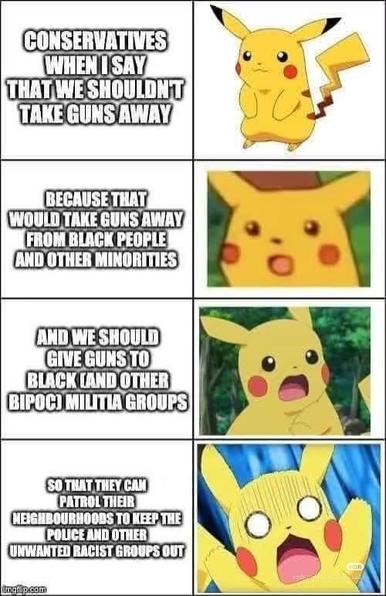 CONSERVATIVES WHEN I SAY THAT WE SHOULDN'T TAKE GUNS AWAY

BECAUSE THAT WOULD TAKE GUNS AWAY FROM BLACK PEOPLE AND OTHER MINORITIES

AND WE SHOULD GIVE GUNS TO BLACK LAND OTHER BIPOC) MILITIA GROUPS

SO THAT THEY CAM PATROL THEIR NEIGHBOURHOODS TO KEEP THE POLICE AND OTHER UNWANTED RACIST GROUPS OUT