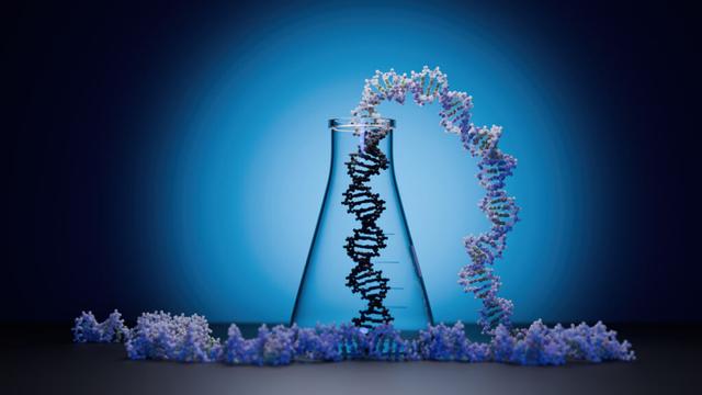 DNA Genetic Research