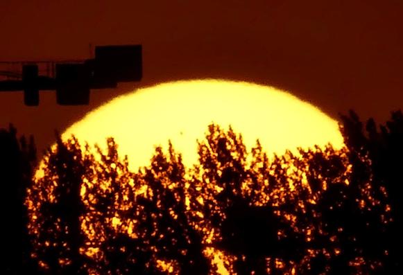 Crop from max digital zoom picture
