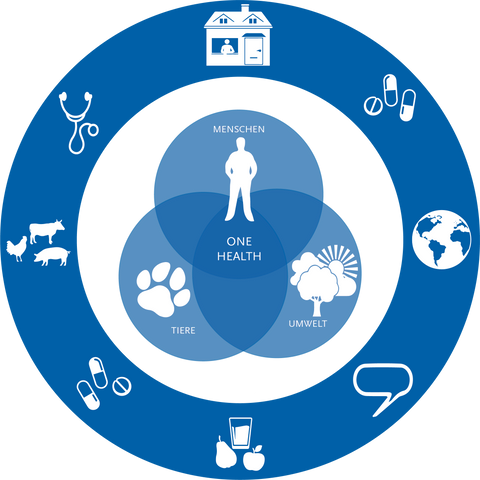 Die Grafik zeigt das One-Health-Prinzip: So hängen die Gesundheit der Menschen, die Gesundheit der Tiere und die Umwelt zusammen.