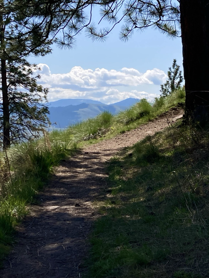 A picture taken from the shadows looks down a path that immediately enters the sunlight, then curls up and to the right. To either side are trees. At center, the view is open and shows the wooded mountains across the valley, clouds sitting low over them.