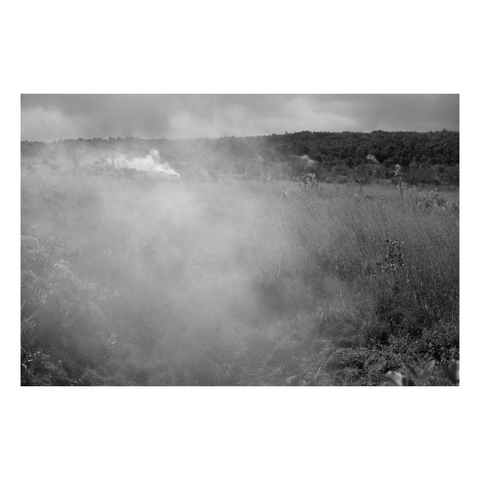 vents emanating steam from the ground near Kilauea
