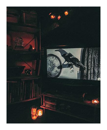 The photo  is a dimly lit room at night. There is a television screen showing a black and white image of a large raven perched on a stand with a picture on the wall beside it. It's a scene from Hitchcocks The Birds. The raven casts a distinct shadow. 
The television is on a dark wooden TV stand, which has a collection of books and DVD's underneath it. There are heart-shaped lights hanging in the background o we the TV. There are a few candles lit in front of the stand on the floor and also beside it on the shelves. The shelves on the left hand side of the picture hold lots of books and items, there is a candle on them and also a fake skull.