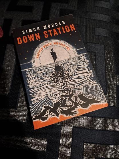 The cover of the book.

A silhouette of a man carrying a spear and shield is framed by half a moon level with the sea. The man's reflection breaks apart into dozens of black birds as it comes across the ripples if the water towards the viewer.