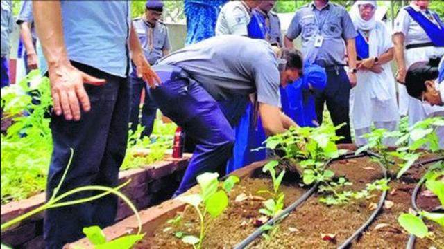 Chandigarh government schools setting up kitchen gardens to teach kids sustainability
