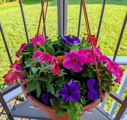 A hanging basket of pansy's color purple and pink with a marigold peeking out of the center.