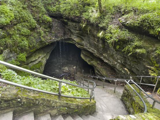 A view looking down into a cave. There is a staircase winding down into the depths for safe visitor access, part poured concrete and part natural limestone. Limestone bedrock shapes the entrance of the cave, it's layers lined with moss and ferns. The entrance has a small waterfall, we can see there is a bit of stream within the depths but otherwise it is darkness beyond.