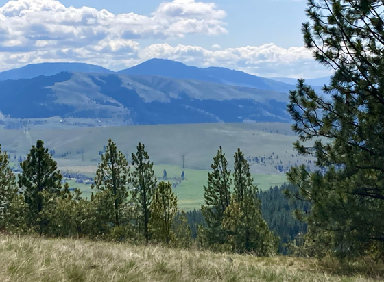 A view over treetops shows a green valley with low hills to the right. Beyond, low, forested mountains give way to higher peaks, the sky mostly cloudy.