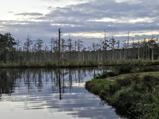 Blue and white skies cast mirror like reflections upon a waterway below with wetland marsh landscape in the background.