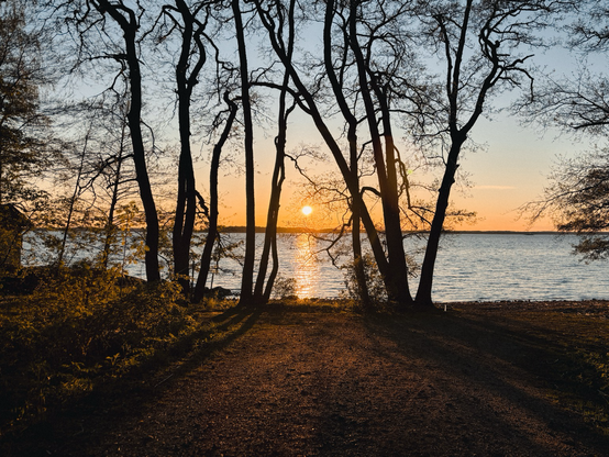 Strand mit Bäumen