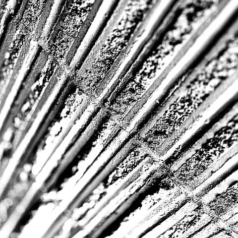 A stark, black-and-white concrete wall texture of many parallel lines butts up against another series of similar parallel lines, all stretching in and out of focus in diagonal directions.