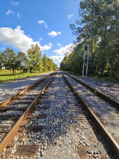 Standing between two sets of old train tracks on a bed of dirty gravel, stretching far into the distance beneath big blue Florida skies.
