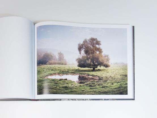 A cow pasture in the floodplains of the river Thur in the canton of Thurgau, Switzerland. A photograph from my photo book »THUR«. 


#landscapephotography
#thur #photobook #marcozedler
#photography #natur #moody
#calm #kodakportra #mediumformat #film