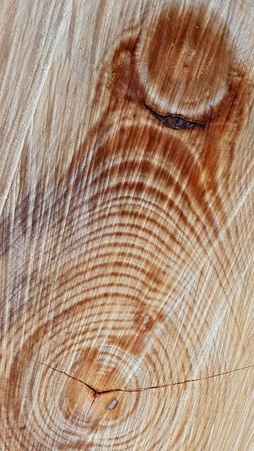 🇬🇧 Close-up. Cross-section of a tree in various shades of brown. The shape of the annual rings is reminiscent of a figure bending over something round and looking at it. It evokes associations with the story of Narcissus from Greek Mythologie: The beautiful Narcissus bent over his reflection in the spring in complete self-absorption and drowned...

🇩🇪 Nahaufnahme. Querschnitt eines Baumes in verschiedenen Brauntönen. Die Form der Jahresringe erinnert an eine Figur, die sich über etwas Rundes beugt und betrachtet. Das erweckt die Assoziation mit der Geschichte von Narziss aus der griechischen Mythologie: Der schöne Jüngling Narziss, der sich völlig selbstverliebt über sein Spiegelbild in der Quelle beugte und ertrank...