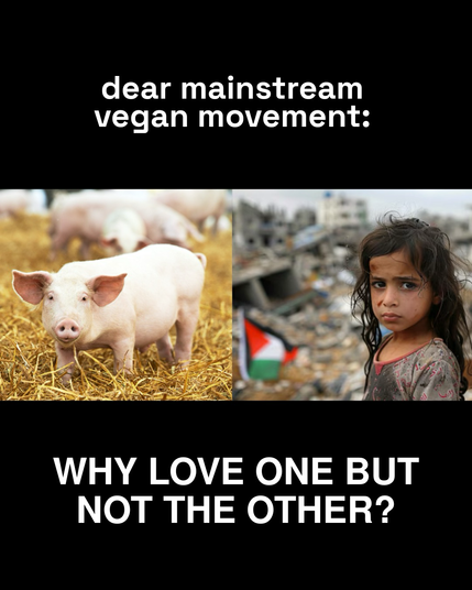 Title reads “dear mainstream vegan movement: why love one but not the other?” With a photo of a pig next to a photo of a Palestinian child.