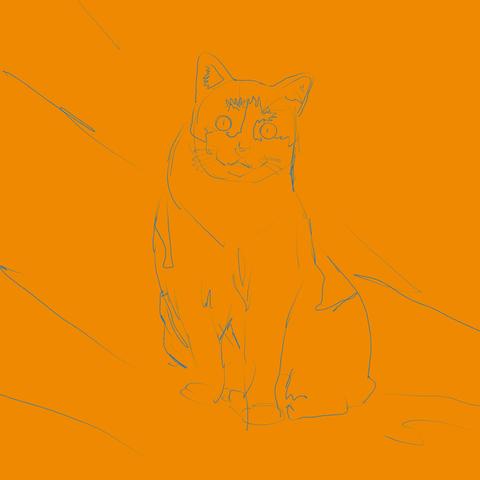 Orange background with a quick sketch of a cat with wide open eyes and narrow pupils.