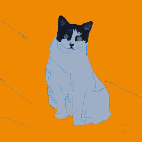 Same piece but now the cat's body is white and I've started on her head --- ears, nose, mouth and eyes.