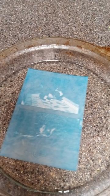 I put the print in a pie dish with water, and wiggle it for about 3 mins.  the image slowly emerges.