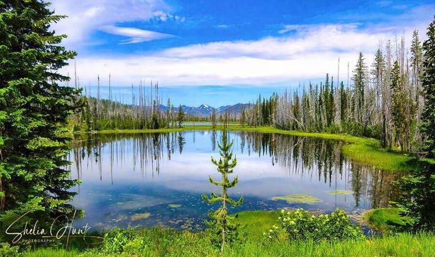 Twin Lakes at Eagle Cap Wilderness showcases a beautiful blue sky reflecting in the still waters of the two lakes on a beautiful summer day. The lake is framed by tall pines. Peace and serene, this image is from the Fine Art Gallery of Shelia Hunt at Shelia-hunt.pixels.com