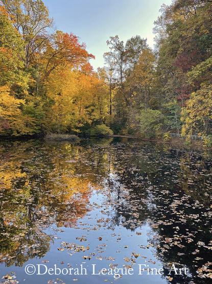 This tranquil image showcases the vibrant fall foliage reflected on the still waters of Duck Pond, surrounded by towering trees in shades of gold, orange, and crimson. A peaceful and picturesque scene perfect for nature lovers, photographers, and history enthusiasts exploring the famed Winterthur estate in Wilmington, Delaware.


A serene pond reflects the vibrant colors of autumn foliage, with leaves floating gently on its surface. Tall trees surround the water, showcasing shades of yellow, orange, and green, creating a peaceful natural scene