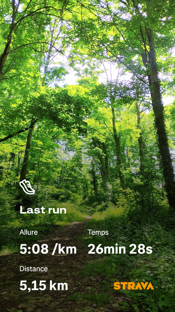 Chemin forestier baigné de lumière, bordé d’herbe et de sous-bois. Les rayons du soleil filtrent à travers un plafond dense de feuillage vert éclatant. En surimpression, les données d’une course à pied : 5,15 km en 26 min 28 s, allure moyenne de 5:08/km