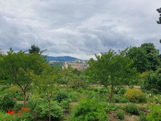view from top of la Sarra, with a flower garden at foreground and croixrousse building beyond. sky is greyshi, I had some rain