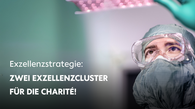 Ein Mensch in Schutzkleidung schaut auf eine Schale mit rosa Punkten. Auf dem Bild steht: Zwei Exzellenzcluster für die Charité. Foto: Jacqueline Hirscher