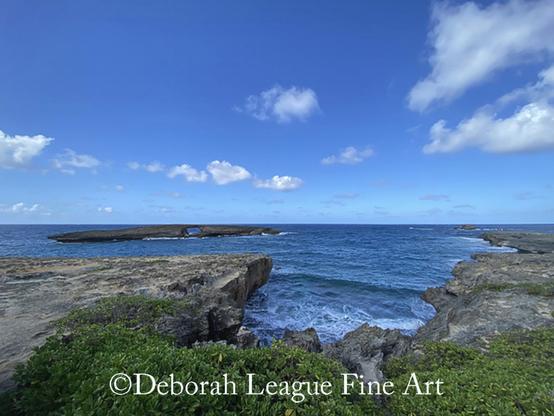 Laie Point on Oahu’s North Shore, featuring a striking natural sea arch with a hole worn into the islet. This iconic coastal landmark offers dramatic ocean views, rugged cliffs, and crystal-blue Pacific waters beneath a bright Hawaiian sky. A must-visit destination for nature lovers, photographers, and travelers seeking Hawaii’s most scenic viewpoints.

Located at the end of the Laniloa Peninsula, Laie Point is famous for its islet with a hole (puka) in the center. The entire natural arch was created by a tsunami in 1946.

Clear blue skies stretch over a vast ocean, with rugged cliffs framing the scene and waves gently crashing against the rocks. Verdant green plants cover the foreground, contrasting with the deep blues of the sea and sky.