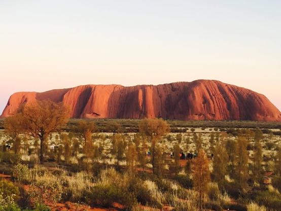 Uluṟu in the morning light. Green and brown desert scrub in the foreground and Uluru looking rusty red in the morning light at the back.