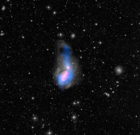 Two interacting galaxies appear on a field of stars. A black and white image of the galaxies taken in visible light is overlaid with radio (blue) and infrared (pink) images. The bottom galaxy is a large spiral. It is tilted slightly, so that its disk forms an oval rather than a circle. The top galaxy is a bright elliptical galaxy. It is oval shaped with a bright center that gets gradually fainter and more transparent towards its edges. A plume of gas and stars  surrounds and appears to rise from the galaxies, like smoke from a campfire. The blue radio light snakes around the outside of the spiral galaxy, through the elliptical galaxy and into the plume, forming a teardrop shape. The pink infrared light highlights the centers of the spiral and elliptical galaxies.