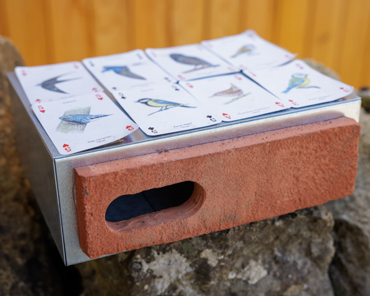 A Swift brisk - one that has an opening and a cavity for breeding birds with playing cards laid out on the top that illustrate the birds that use them.