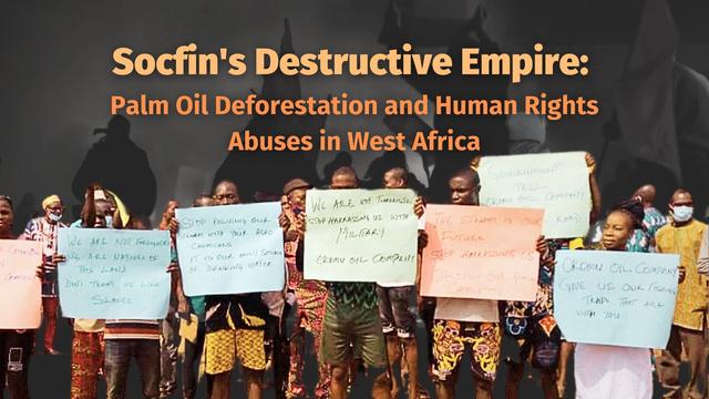 #News: 🚨 #SOCFIN #palmoil and #rubber is linked to sexual #violence, forced #labour, #landgrabbing #deforestation in #WestAfrica🌴🔥🤢☠️🙊🚫 French tycoon Vincent Bolloré profits while communities suffer.  💀✊🏽 #BoycottPalmOil #Boycott4Wildlife https://www.bloomberg.com/features/2025-socfin-plantations?utm_source=mastodon&utm_medium=Palm+Oil+Detectives&utm_campaign=publer