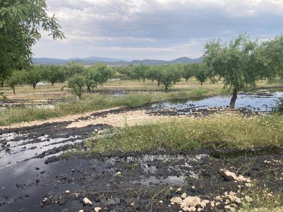 Campos de Calatrava cubiertos de petróleo de Repsol