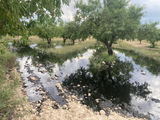 Campos de Calatrava, Murcia , cubiertos de petróleo por el Vertido de  Repsol