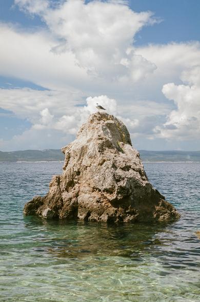 A seagull is posing on top of a triangular rock in the turqouise Mediterranian water, framed by a cloud behind him.