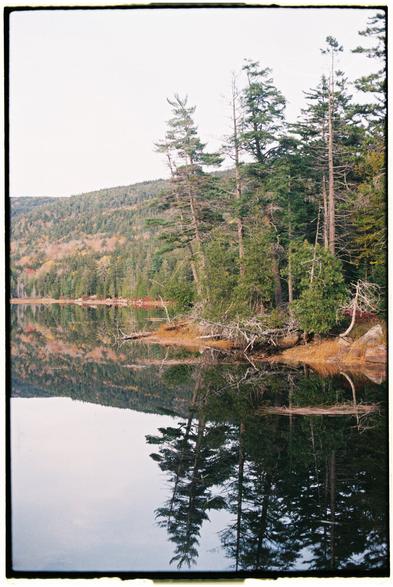 A film photograph of a pond in Acadia National Park on Mt. Desert Island in Maine. The surface of the lake is like glass and the image is reflected perfectly in the water. The lake shore is densely forested with predominantly spruce trees. There is a point of land in the foreground in the right side of the frame with spruce trees and a couple cedars. There is yellowing grass at the water’s edge. In the background small tree-covered mountains rise from the shore.