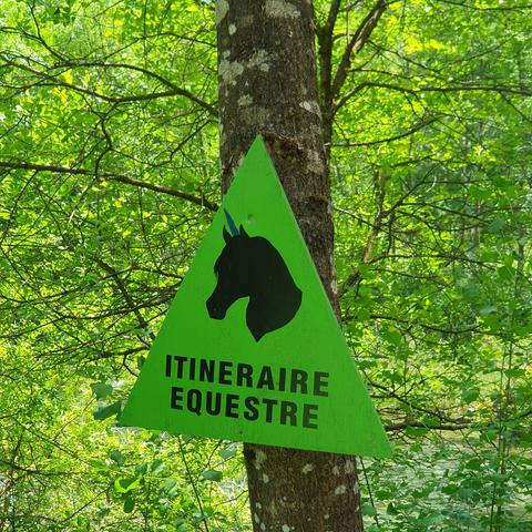 A triangular sign saying "itineraire equestre" on a tree. Someone added a unicorn horn to the pictogram of a horse head om the sign.