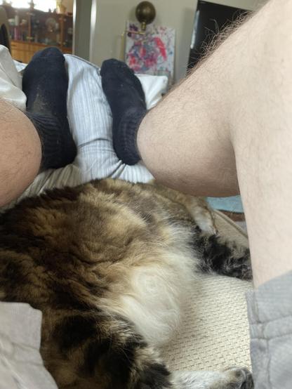 A large and very fluffy tabby cat is sleeping on his side on a beige couch between and under my legs.