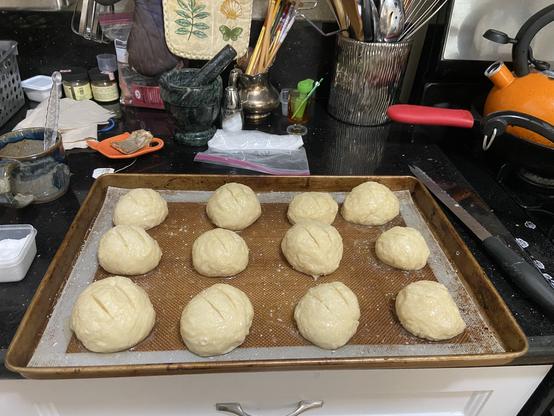 A tray of dough balls after boiling in baking soda.