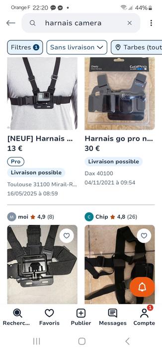 Capture d'écran leboncoin des harnais caméra type gopro