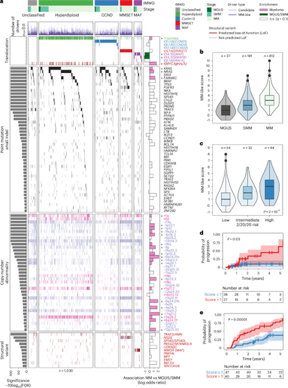 Genomic landscape of multiple myeloma and its precursor conditions
