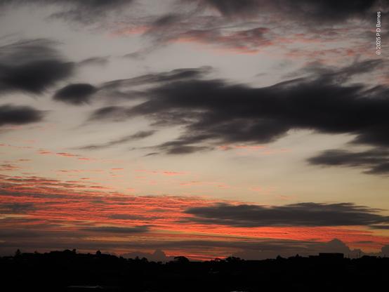 Sunrise with multiple cloud layers. Right on the horizon is a barely visible line of low cumulus, slate blue. Above, still distant, is much higher cloud, lit dark pink by the rising sun. Much closer and visually higher in the sky is a dramatic, torn and wispy cumulus that's still unlit and a dark charcoal grey, and just visible near the top of the picture is another higher group of cloud lit very delicate pink. The skyline along the bottom is a dark, undulating suburban ridgeline.