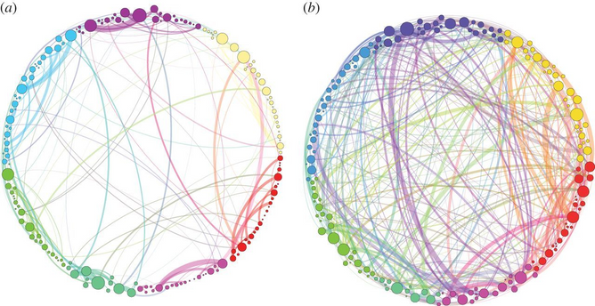 Side-by-side comparison illustrating the difference between placebo and real psychedelic experiences, showing typical brain activity or subjective effects associated with inert placebo substances versus classic psychedelics like LSD or psilocybin.