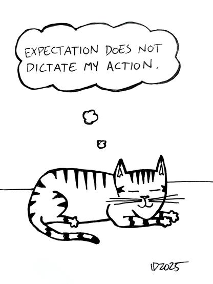 a striped cat has a snooze and thinks "expectation does not dictate my action."